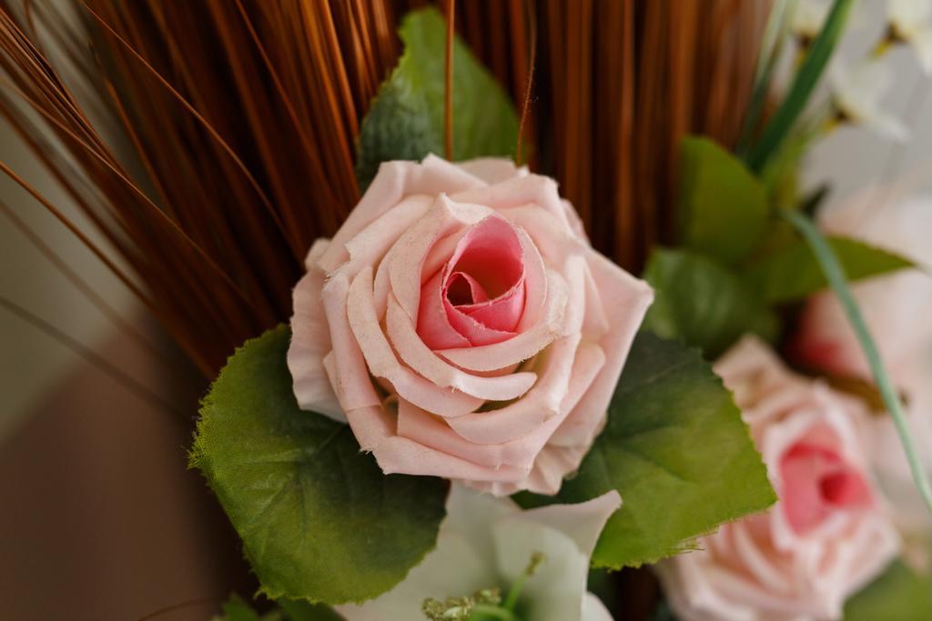 Sweet Home เตรวิโซ ภายนอก รูปภาพ