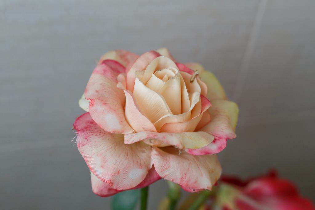 Sweet Home เตรวิโซ ภายนอก รูปภาพ